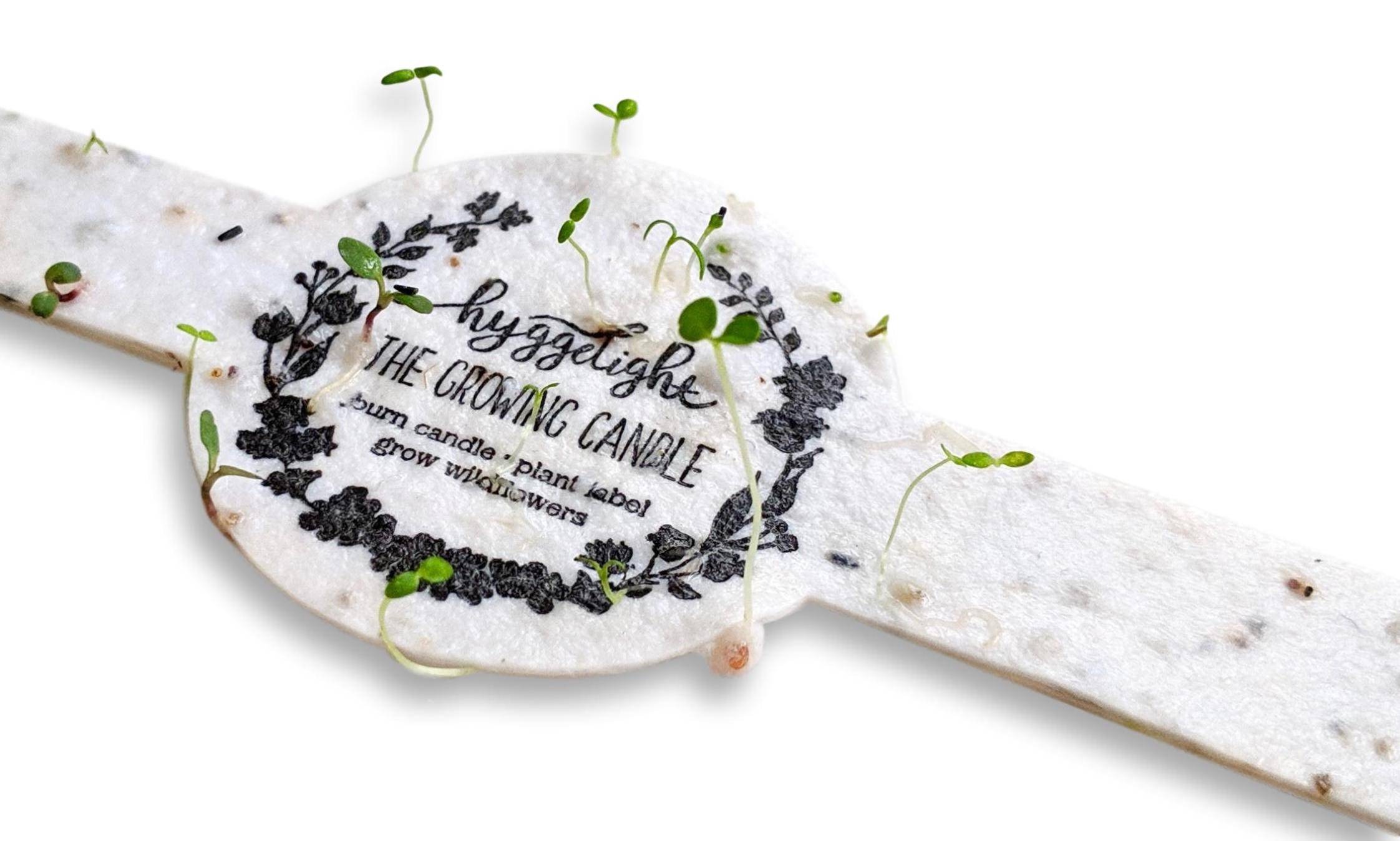 PR2FPP25ZR6VBLYIGFHVBUWL